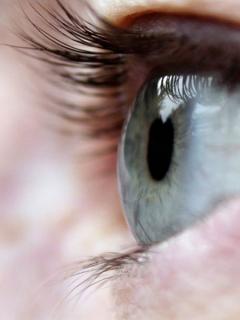 can you see it? - raw multimedia