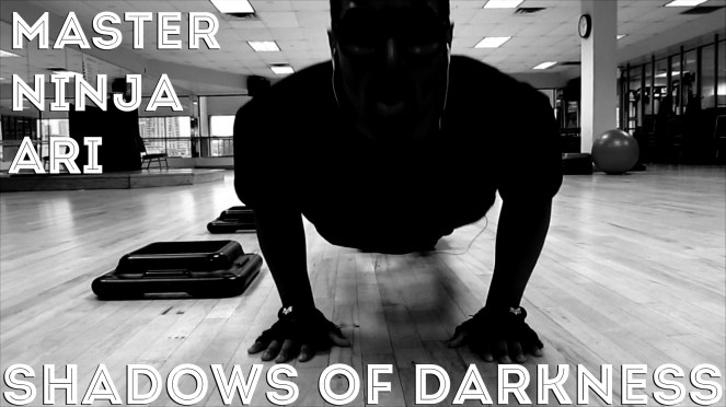 Master Ninja Ari - Shadows of Darkness