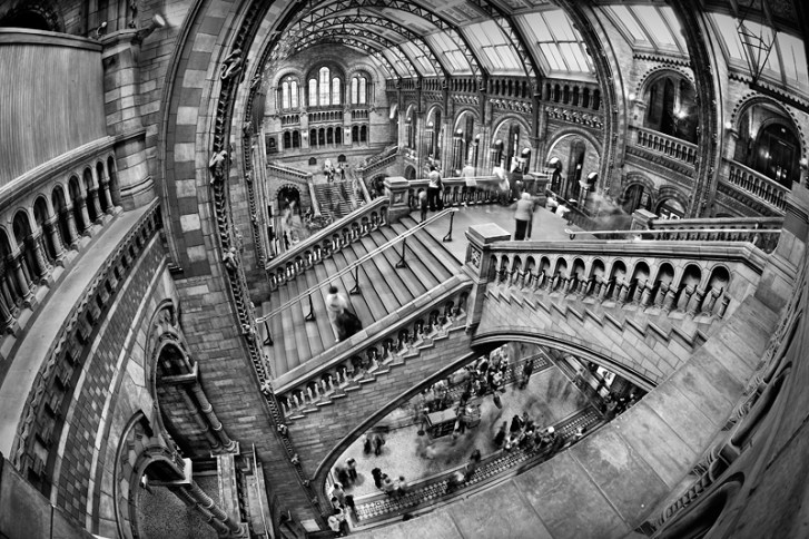 fisheye len black and white