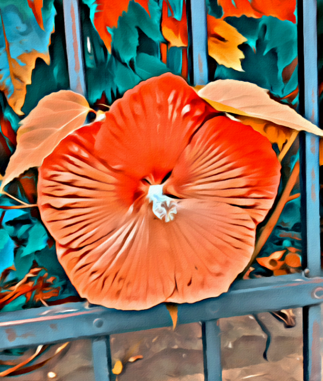 RED SPADE FLOWER RawMultimedia Photography