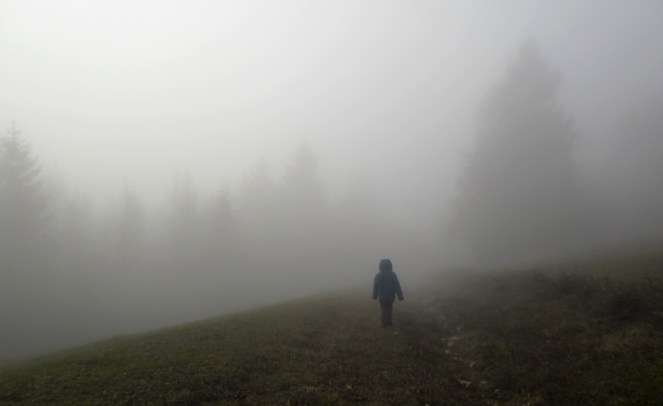 D-walking-into-the-mist