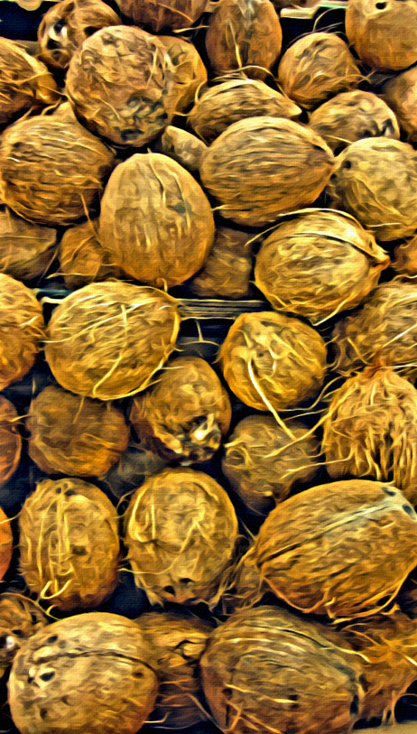 COCONUTS 2 RawMultimedia Photography Art
