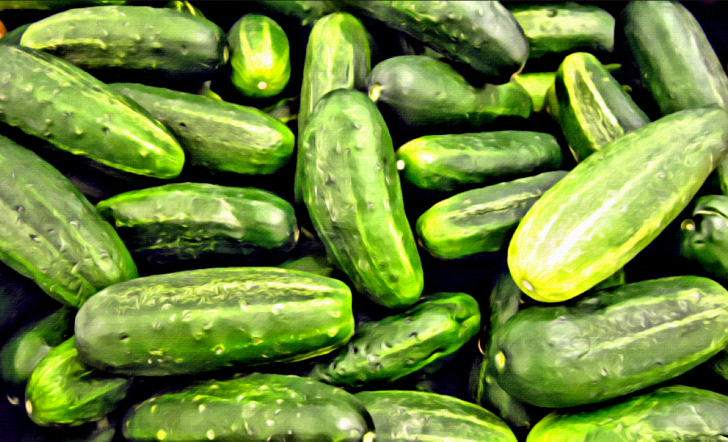 CUCUMBERS RawMultimedia Photography Art