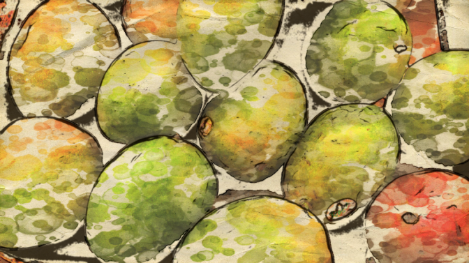 MANGOES Rawmultimedia Photography Art
