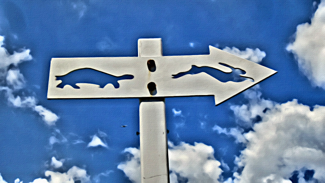 Fitness Running Trail Travel Photography Rawmultimedia