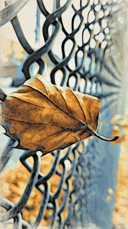 Leaf Art - RawMultimedia Photography 2