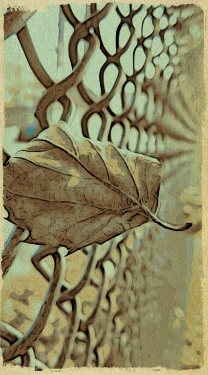 Leaf Art - RawMultimedia Photography 3