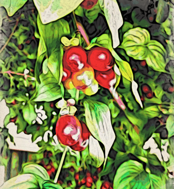 Fruit In The Tree - RawMultimedia Photography Art Painting 1