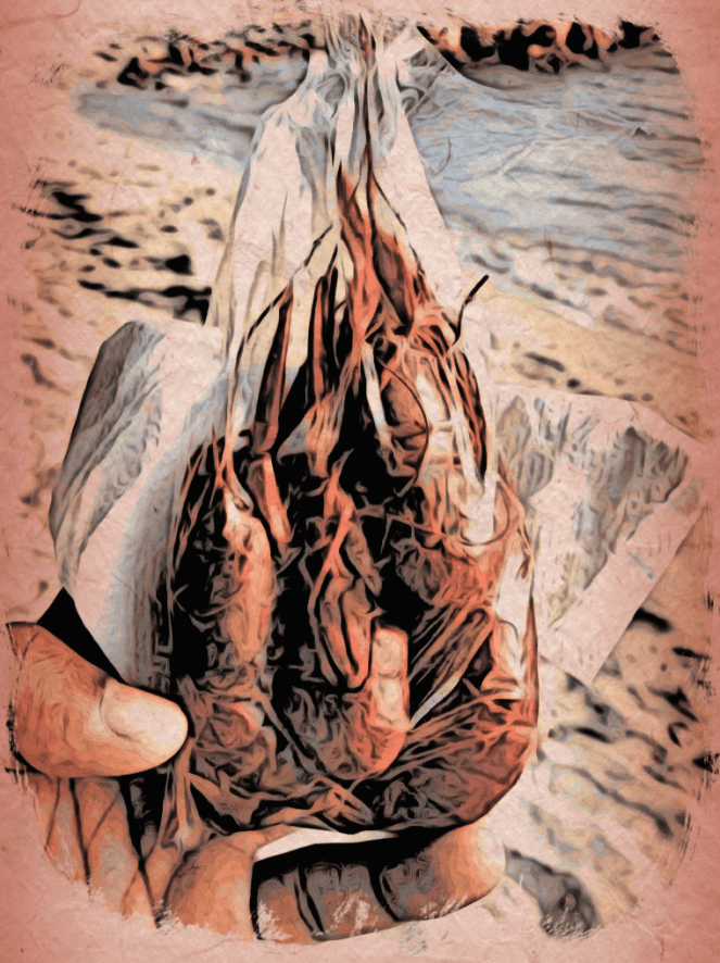 Spicy Shrimp In A Bag, Jamaica Life - RawMultimedia Photography