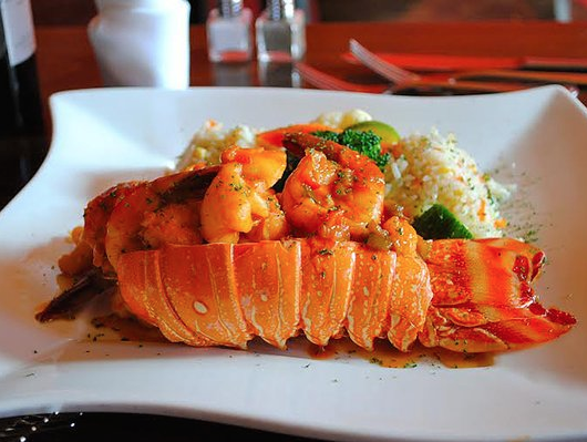 delicious food - cooking