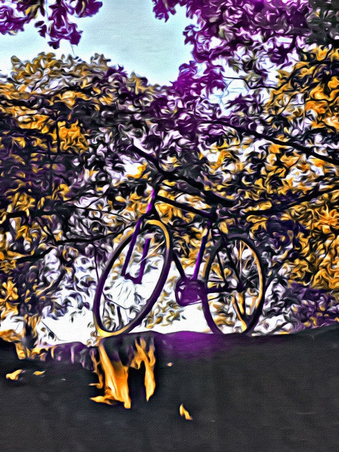 Fixie Bike New York City RawMultimedia Photography