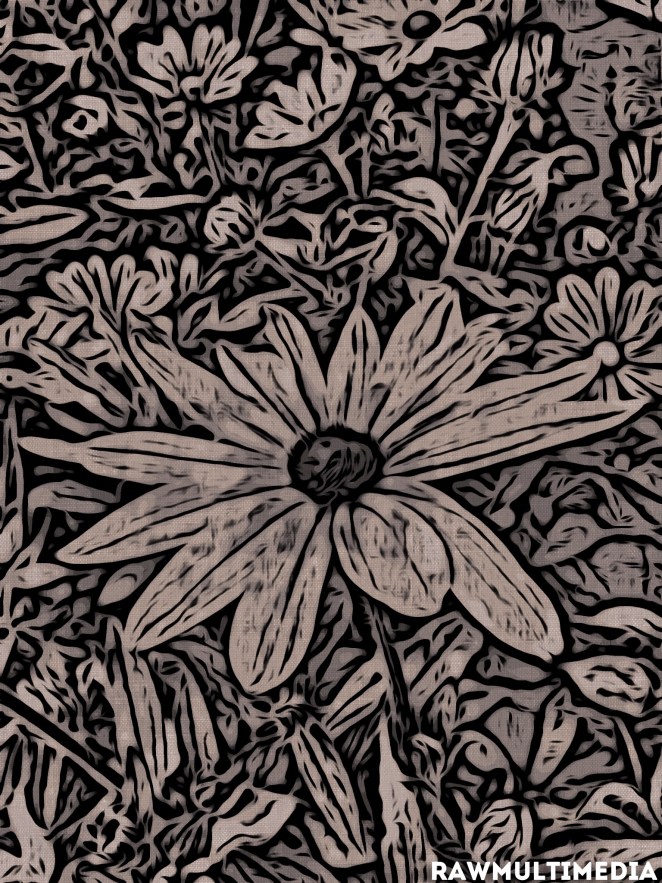 Be A Flower, Stand Out Beautifully - Travel Nature Photography RawMultimedia Art New York City - c