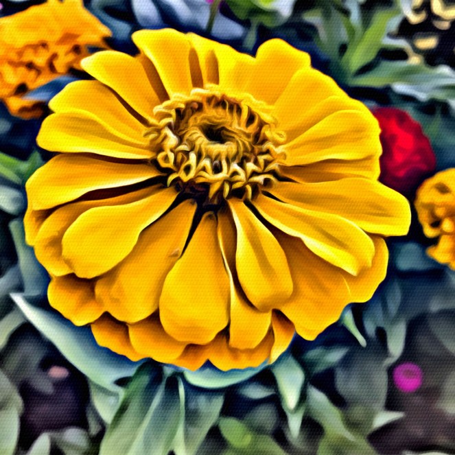 Yellow Flower - RawMultimedia Art Fantasy Photography Gallery