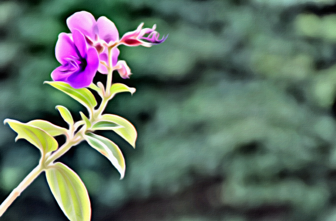 Purple Flower x Portrait - RawMultimedia Photography Art and Life Photographer nyc
