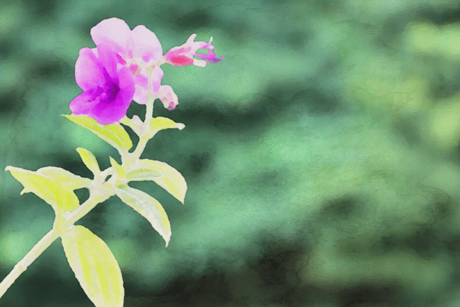 Purple Flower x Portrait - RawMultimedia Photography Art and Life Photographer nyc