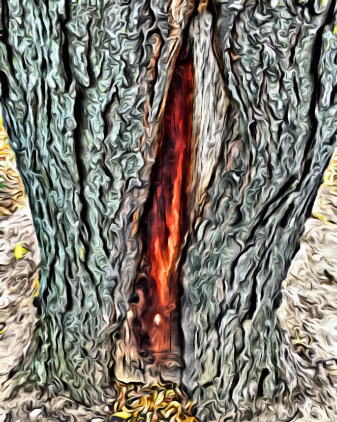 Red Eye x Portrait - RawMultimedia Photography Art and Life Photographer nyc