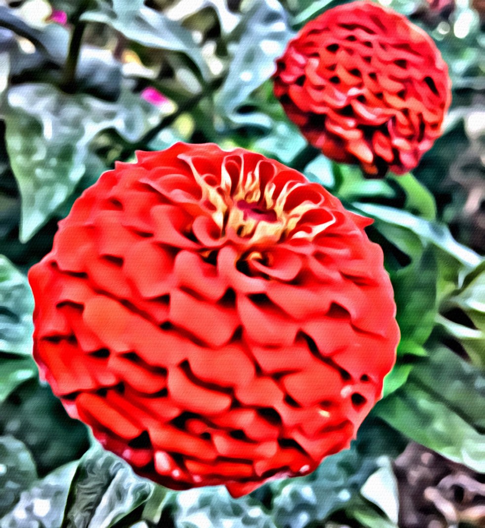 Red Flower Beauty x Portrait - RawMultimedia Photography Art and Life Photographer nyc