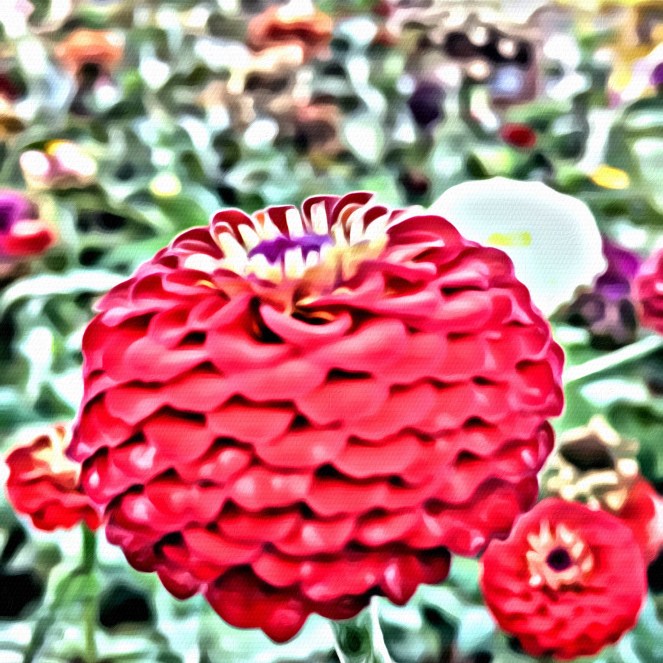 Red Flower Beauty x Portrait - RawMultimedia Photography Art and Life Photographer nyc