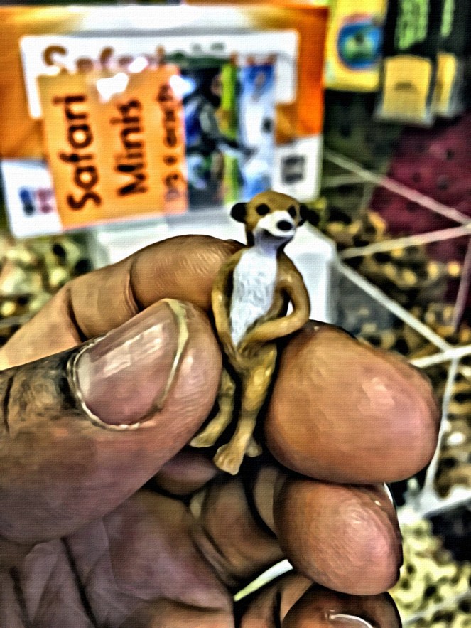 Small Animal at the Art Store - RawMultimedia Photography Art Lifestyle NYC 1
