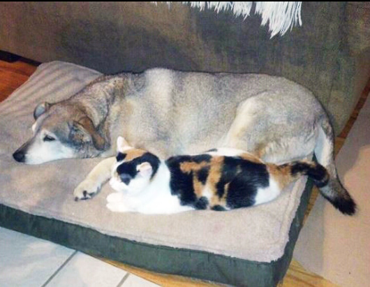 heart-warming-friendships