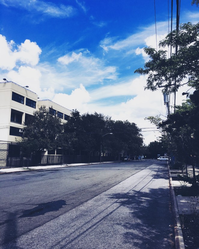 Open Street - Field of Dreams - RawMultimedia Bronx Photographer New York City Photography