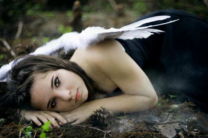 clipped_wings_by_ericana