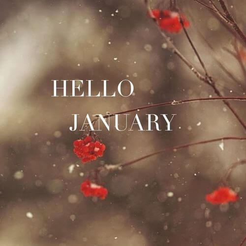 hello-january-rawmultimedia