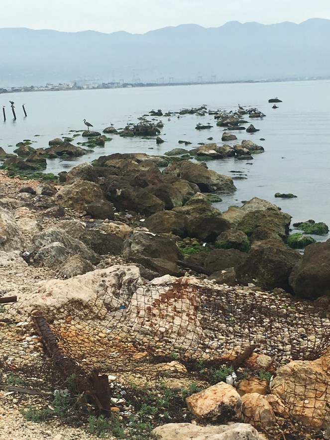 Photos From Jamaica Photo, RawMultimedia Photography