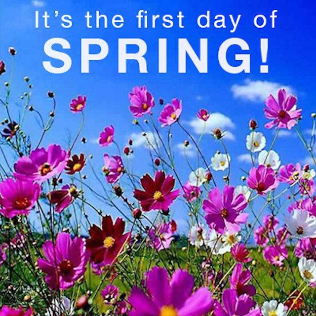 It-s-The-First-Day-Of-Spring